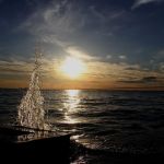 Willows on the Lake Campground