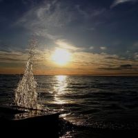 Willows on the Lake Campground ico