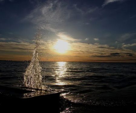 Willows on the Lake Campground