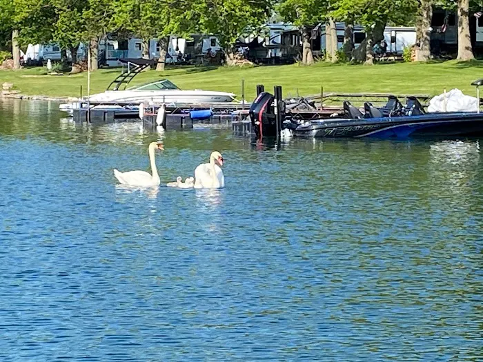Hidden Harbor Campground and Marina Picture 8
