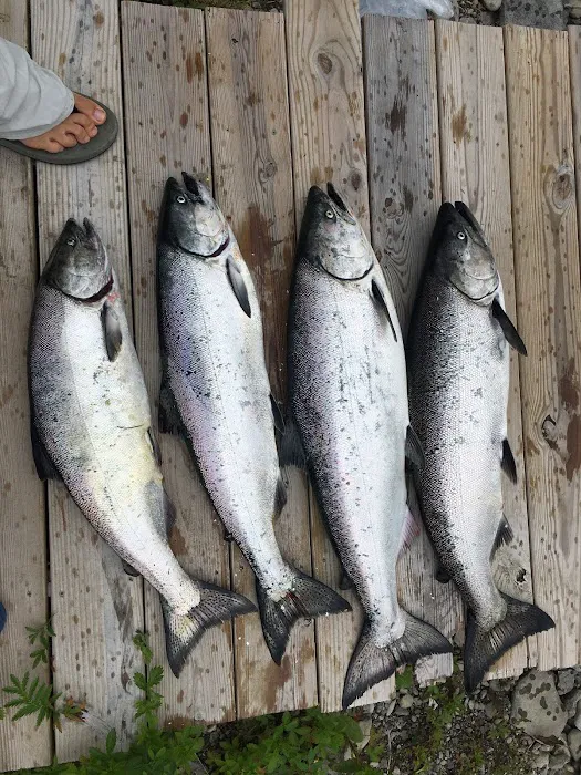 Hidden Harbor Campground and Marina Picture 6