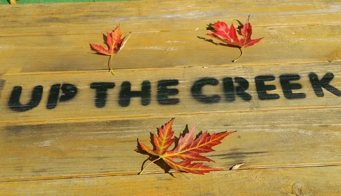Up the Creek Campgrounds Picture 4
