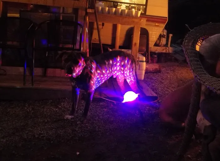 Wilson's Hyde Lake Campsites Picture 7