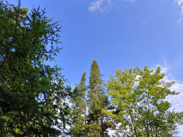 Golden Beach Campground Picture 6