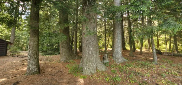 Tioga Point Campground - Lean-To - Site #7 Picture 1