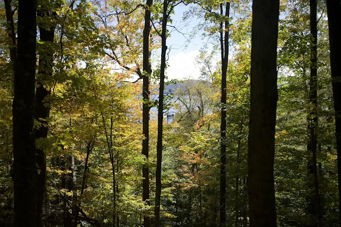 Cranberry Lake Campground Picture 7