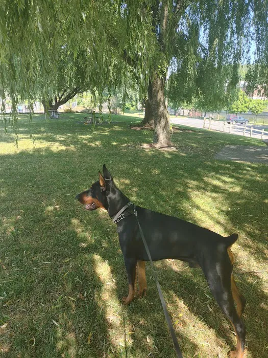 White Birch Campground Picture 7