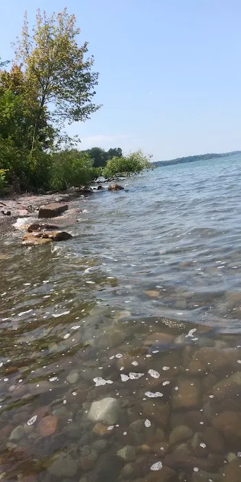 White Birch Campground Picture 2