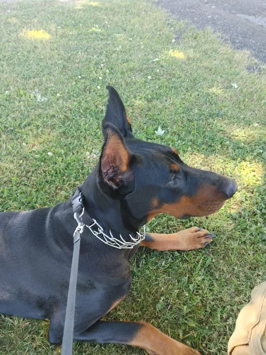 White Birch Campground Picture 5