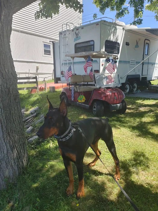 White Birch Campground Picture 6