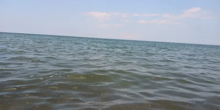 White Birch Campground Picture 1