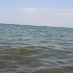 White Birch Campground