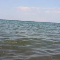 White Birch Campground ico