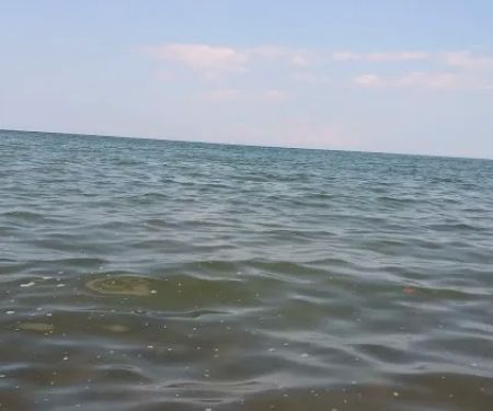 White Birch Campground