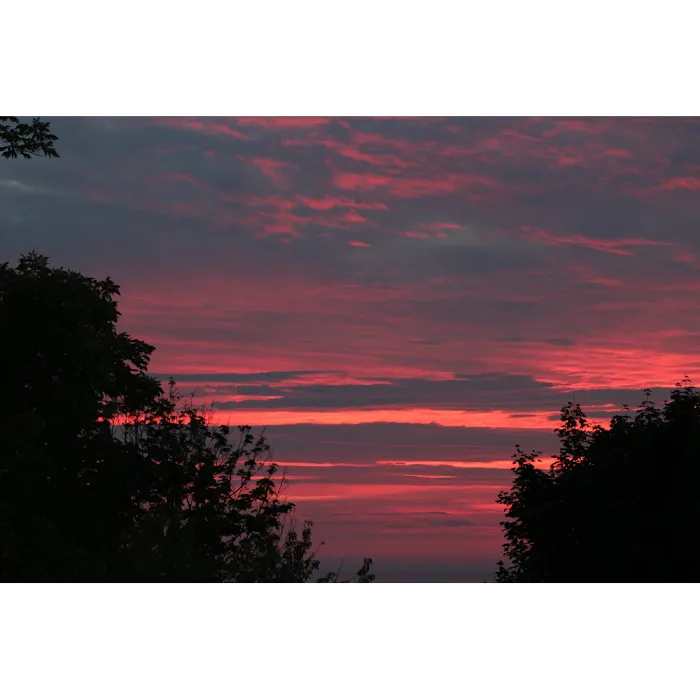 White Birch Campground Picture 10