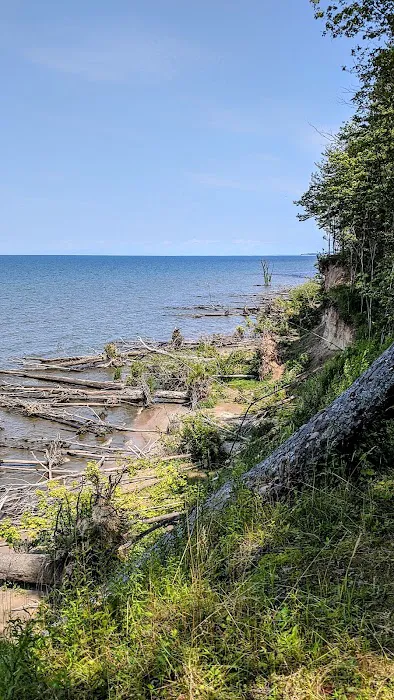 Campground Picture 1