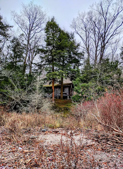 Campground Picture 9