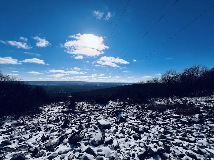 Rothrock State Forest Campsite #3 Picture 6