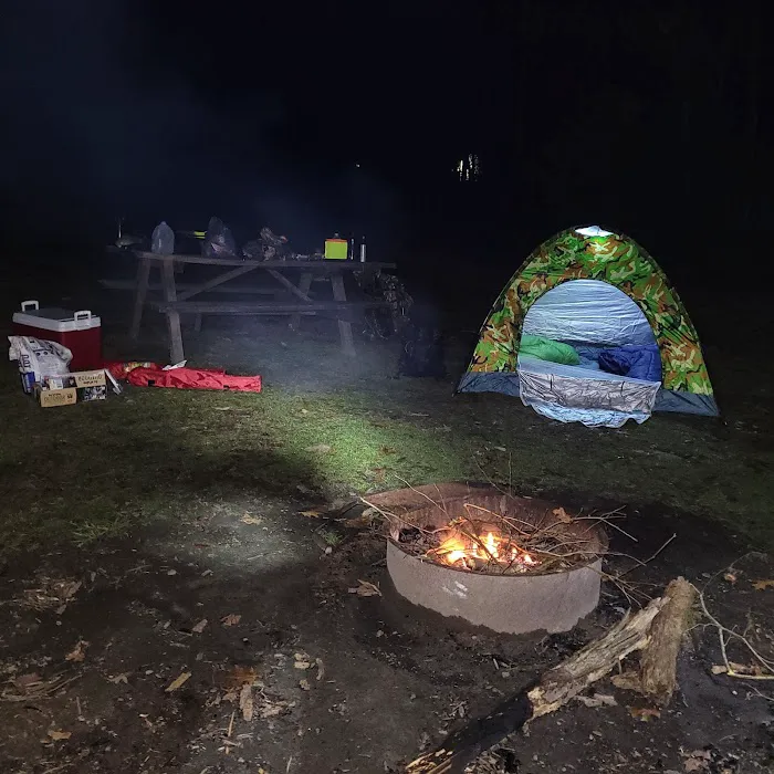 Rothrock State Forest Campsite #3 Picture 2