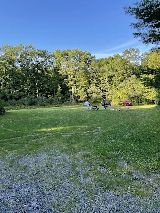 Rothrock State Forest Campsite #3 Picture 9