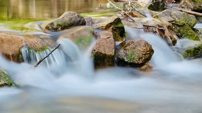 Rothrock State Forest Campsite #3 Picture 8