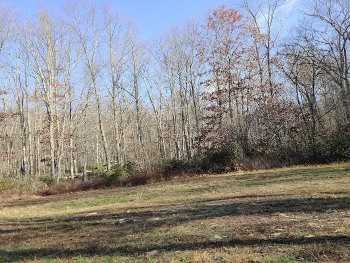 Rothrock State Forest Campsite #3 Picture 3