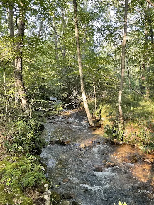 Rothrock State Forest Campsite #3 Picture 10