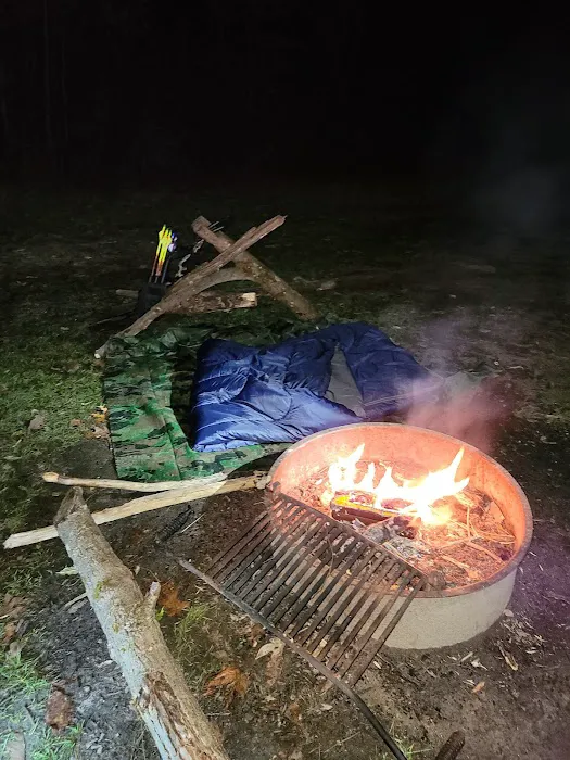 Rothrock State Forest Campsite #3 Picture 1