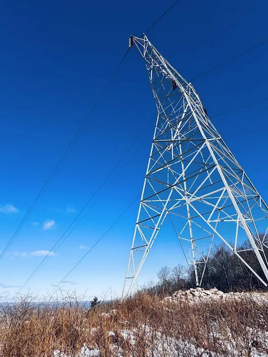 Rothrock State Forest Campsite #3 Picture 4