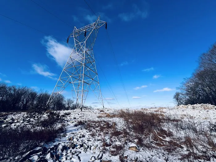 Rothrock State Forest Campsite #3 Picture 7
