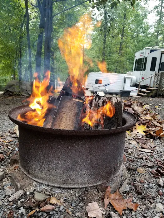 Shoop's Country Campground Picture 2