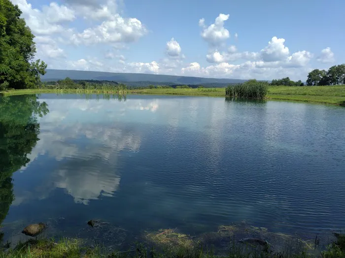 Shoop's Country Campground Picture 7