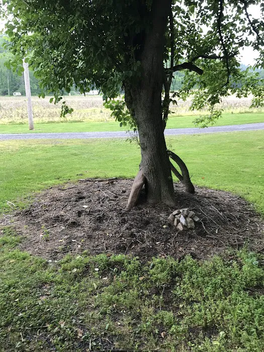 Harshbarger's Campground Picture 3