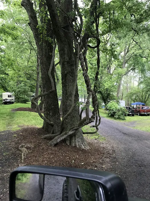 Harshbarger's Campground Picture 6