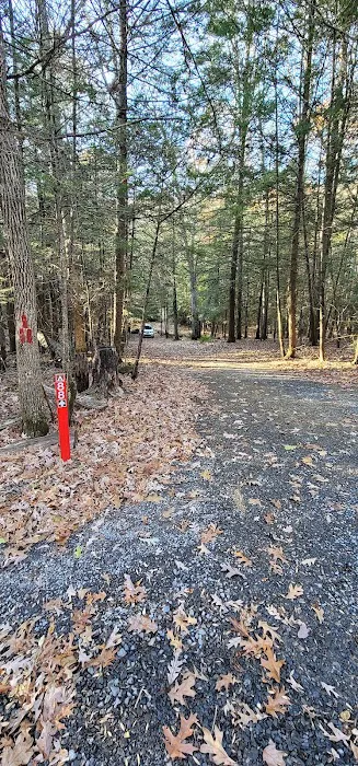 Campsite #88 Picture 4