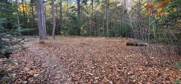 Campsite #88 Picture 1