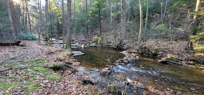 Campsite #88 Picture 2