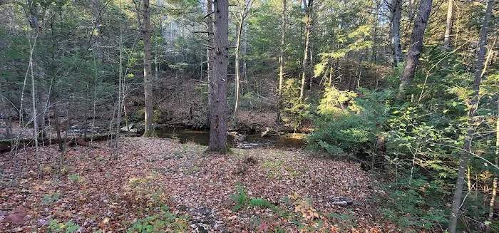 Campsite #88 Picture 3