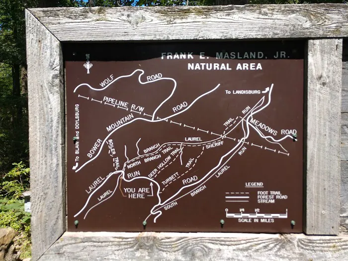 Campsite #86 Picture 5