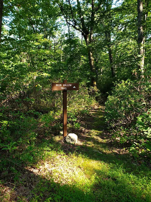 Campsite #86 Picture 1