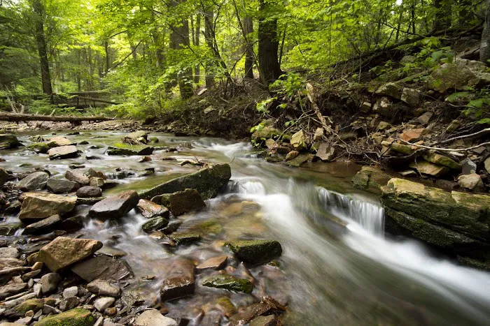 Campsite #86 Picture 2