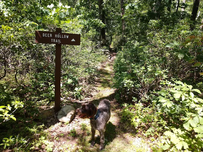 Campsite #86 Picture 8