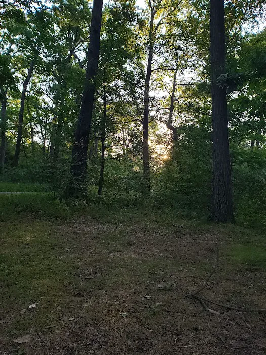 Campsite #86 Picture 10