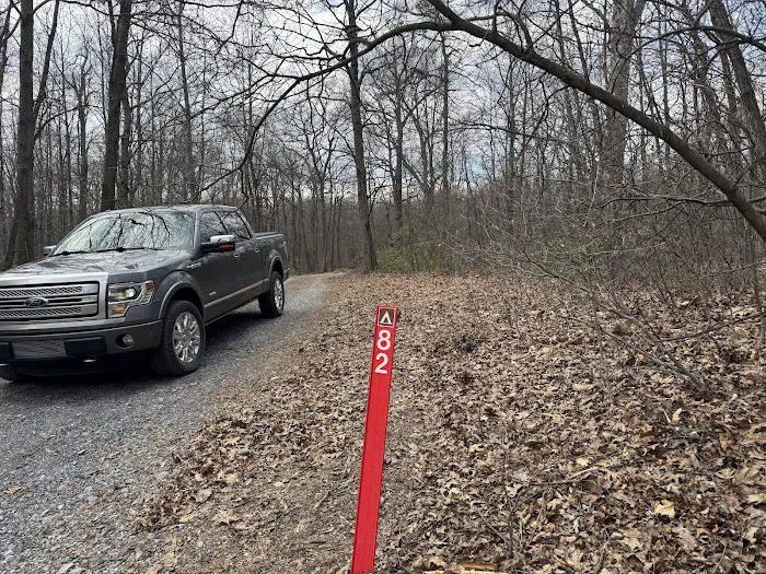 Campsite 82 Picture 1