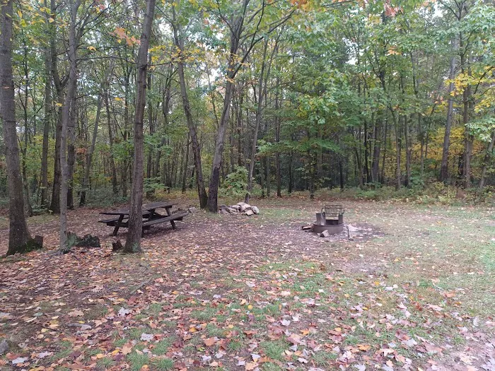 Campsite 81 Picture 5