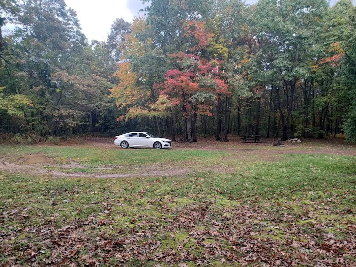 Campsite 81 Picture 3