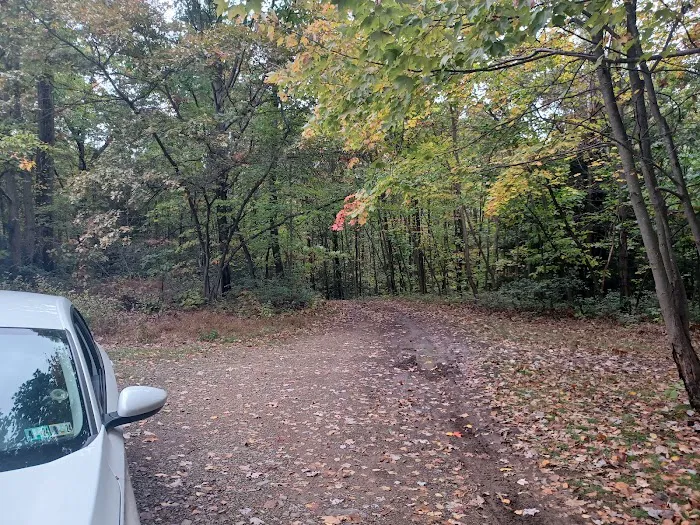 Campsite 81 Picture 4