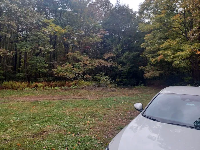 Campsite 81 Picture 1