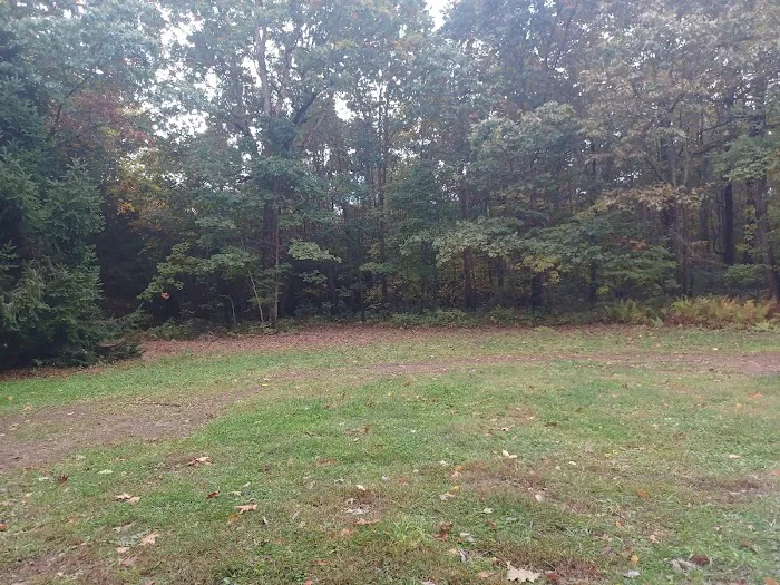 Campsite 81 Picture 2