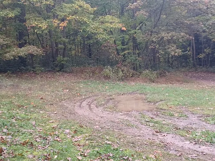 Campsite 81 Picture 6